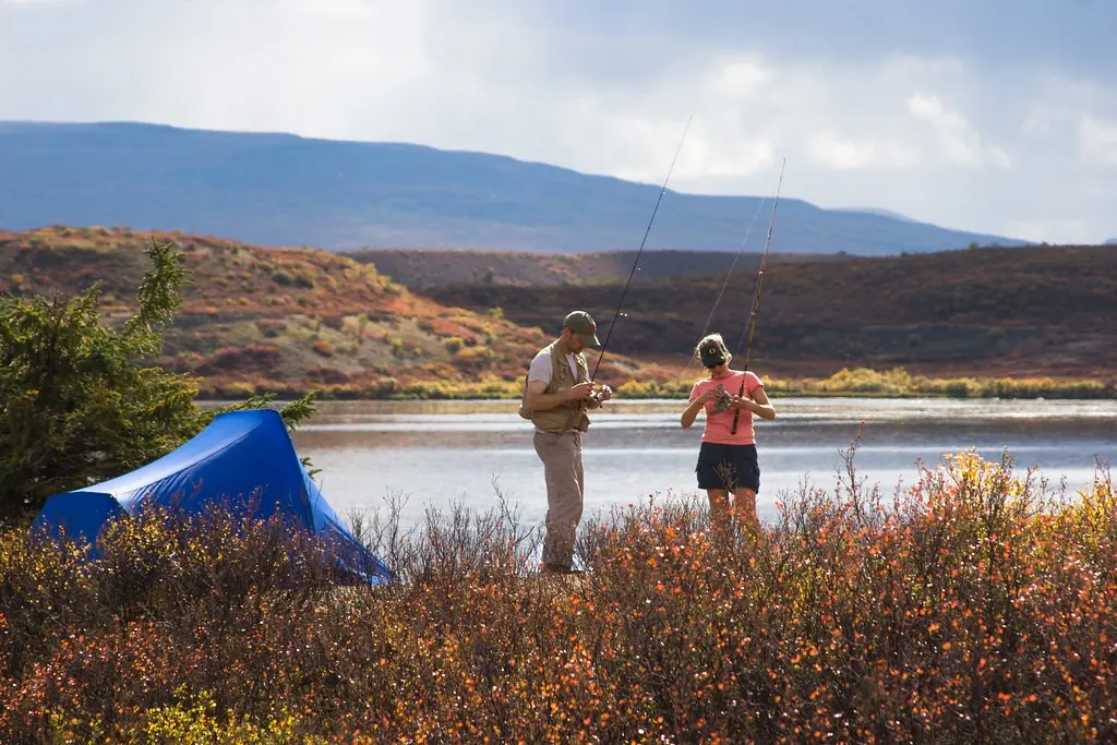 Fishing — Rods, reels, lures, tackle and everything for a day on the water